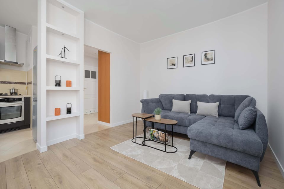 A view from the entryway into the living room, showing a white bookcase serving as a decorative room divider.