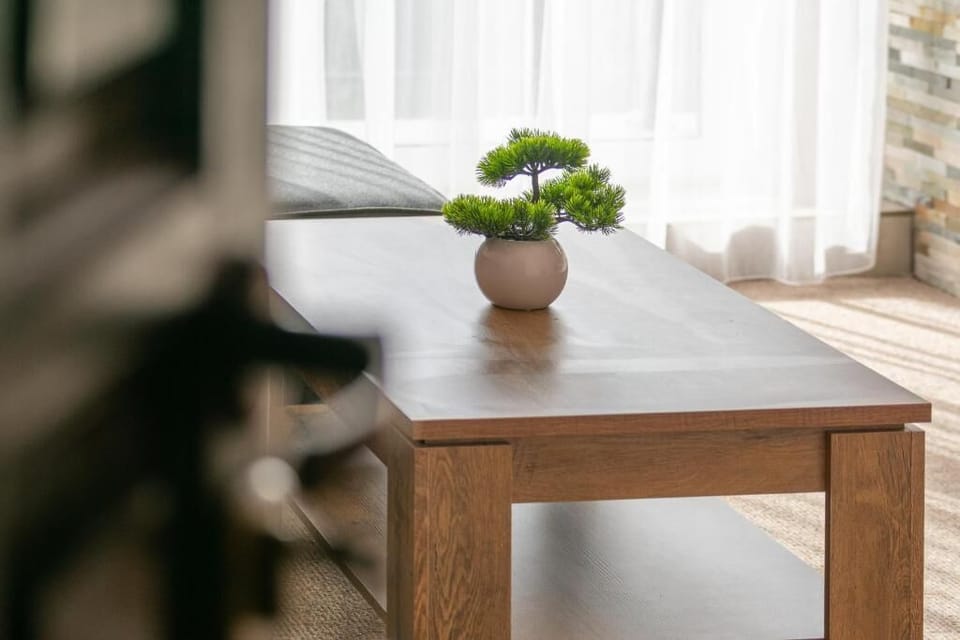 Deluxe Studio, Balcony, Mountain View | Interior