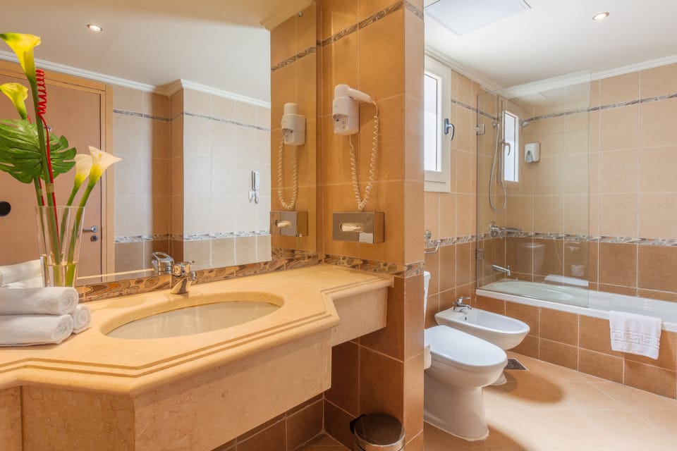 Hair dryer, bidet, towels