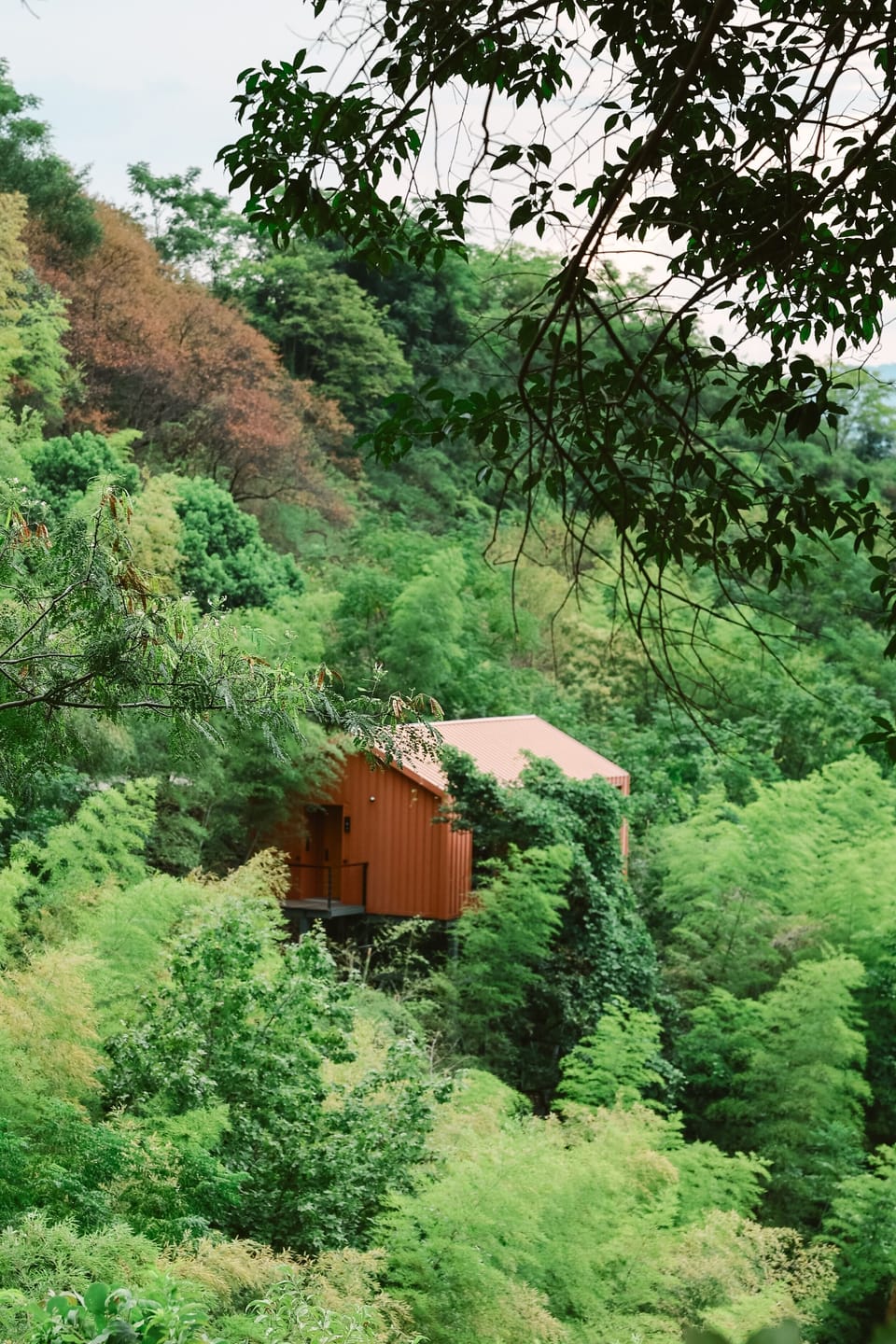 Luxury Tree House, Hill View | Miscellaneous