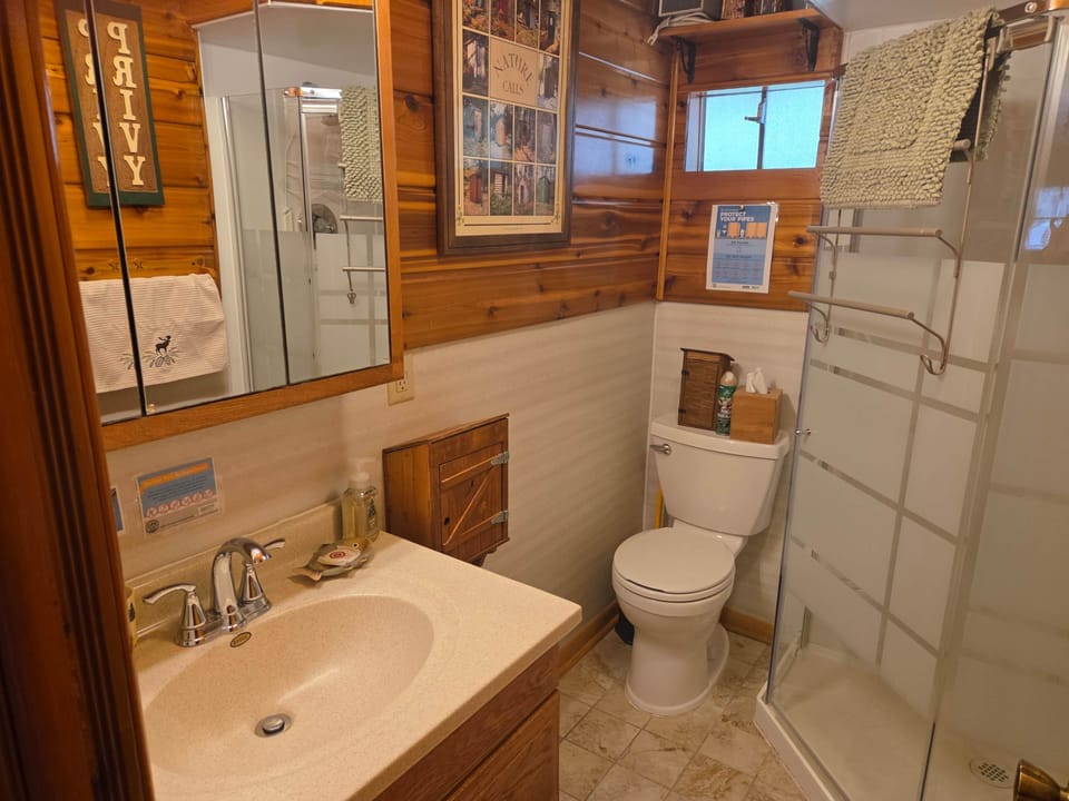 The flush toilet, shower and sink elevate this outhouse-themed bathroom