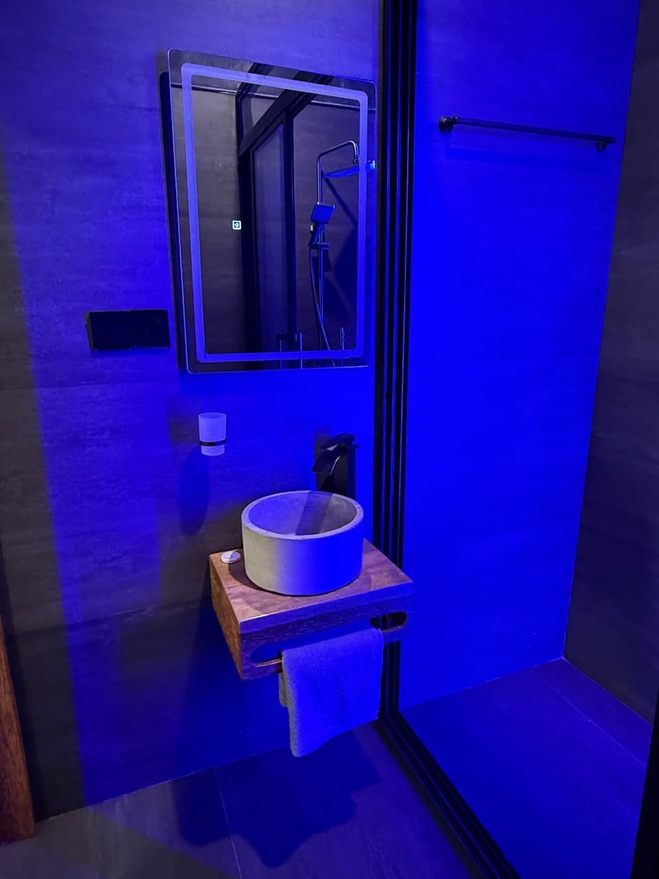 Deluxe Apartment, Pool View | Bathroom | Shower, free toiletries, soap, shampoo