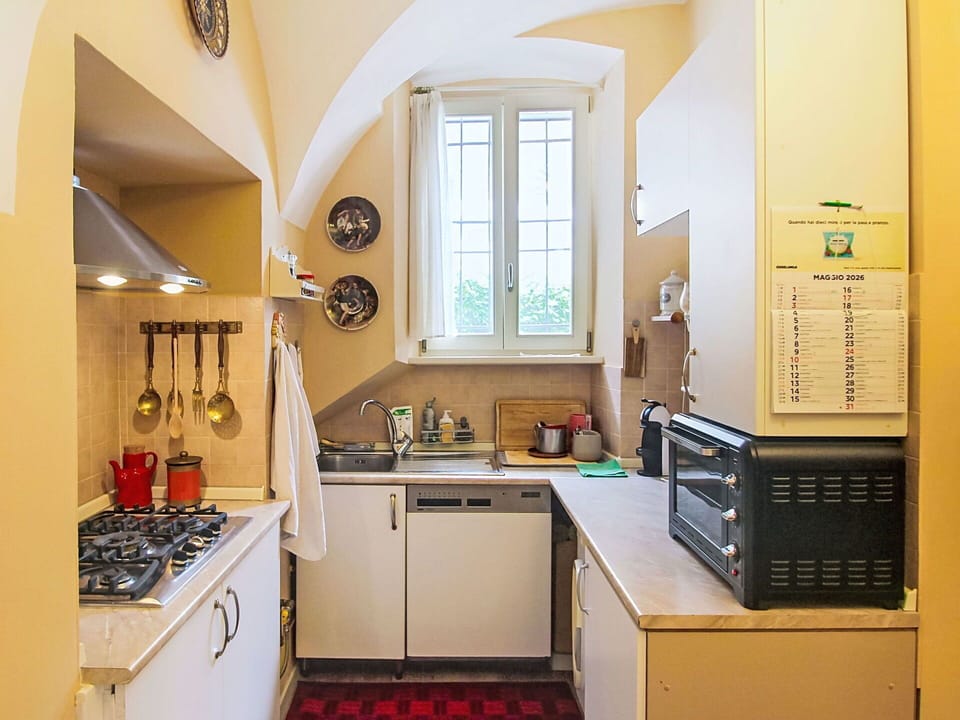 Kitchen Appliance, Kitchen, Major Appliance, Kitchen Stove, Countertop, Wood, Flooring, Interior Design, Cabinetry, Home Appliance