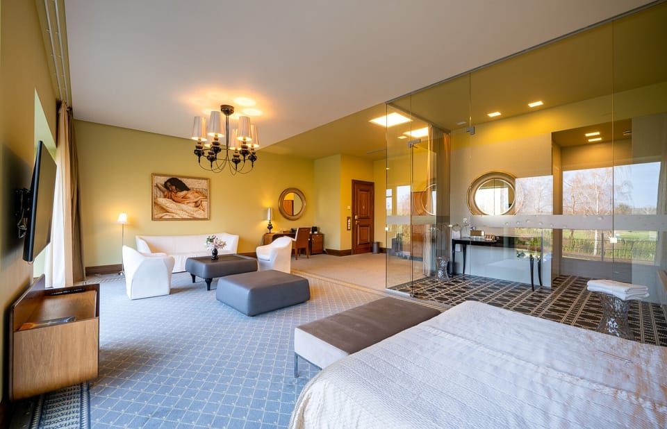 Deluxe Suite (Spa Access) | Living area | Flat-screen TV