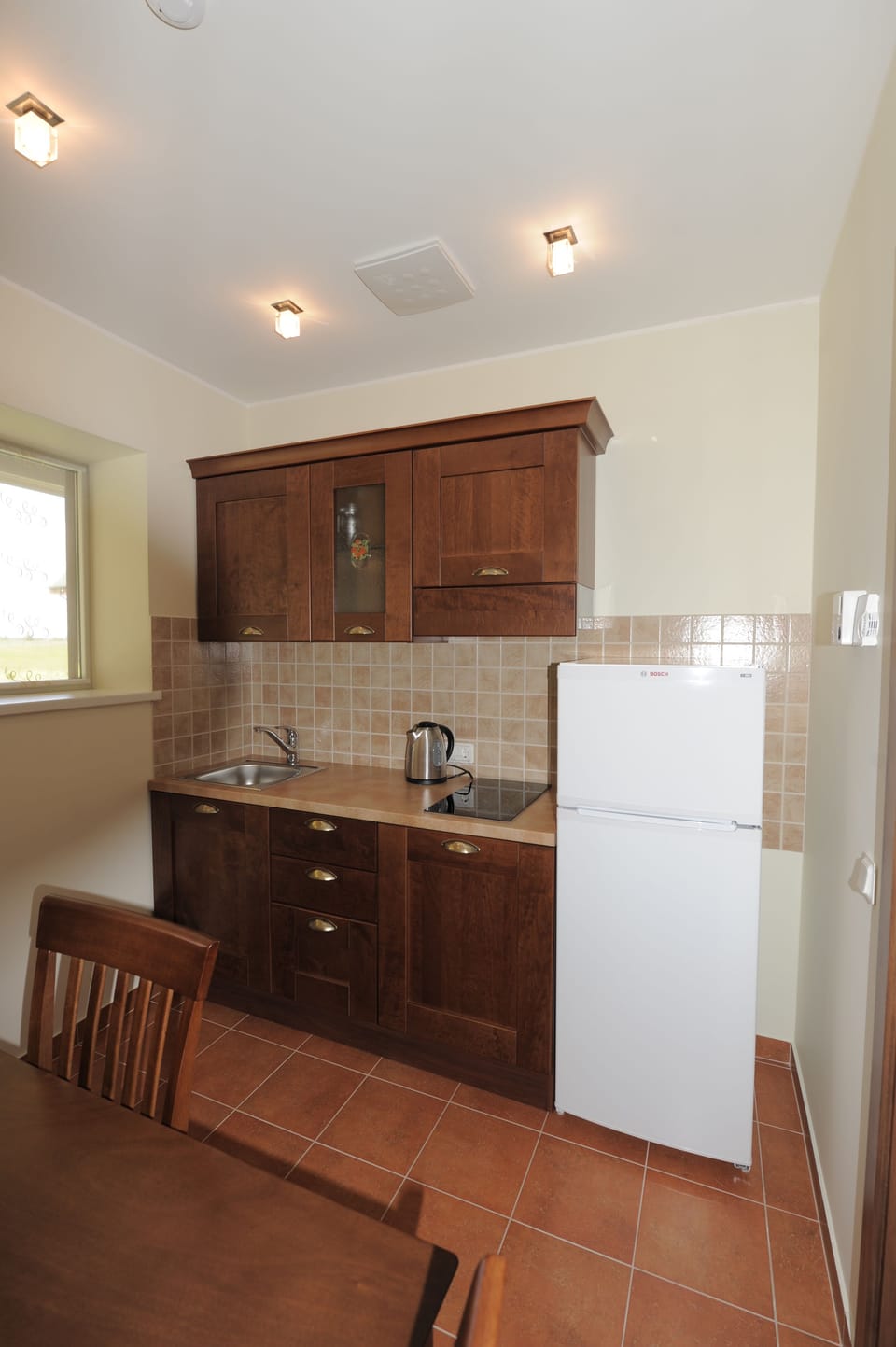 Family Villa, 2 Bedrooms, Annex Building (Spa Access) | Private kitchen
