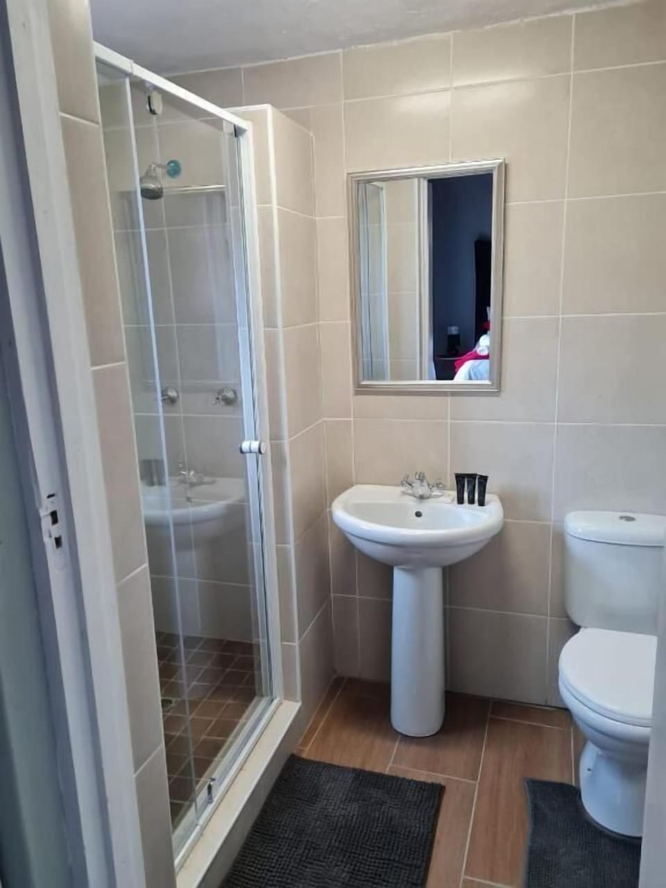 Deluxe Double or Twin Room | Bathroom | Shower, soap, toilet paper