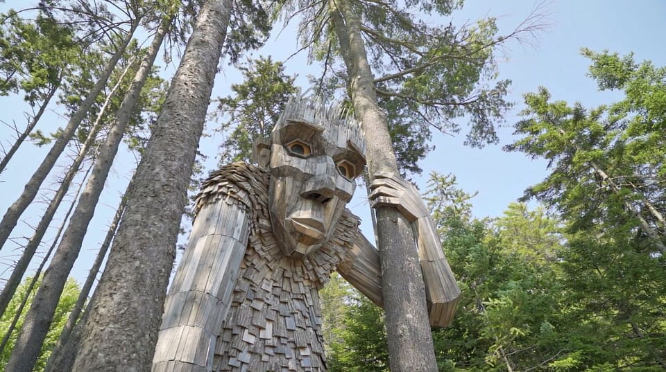 Wander into whimsy beneath towering pines, where woodland magic and curious surprises await.