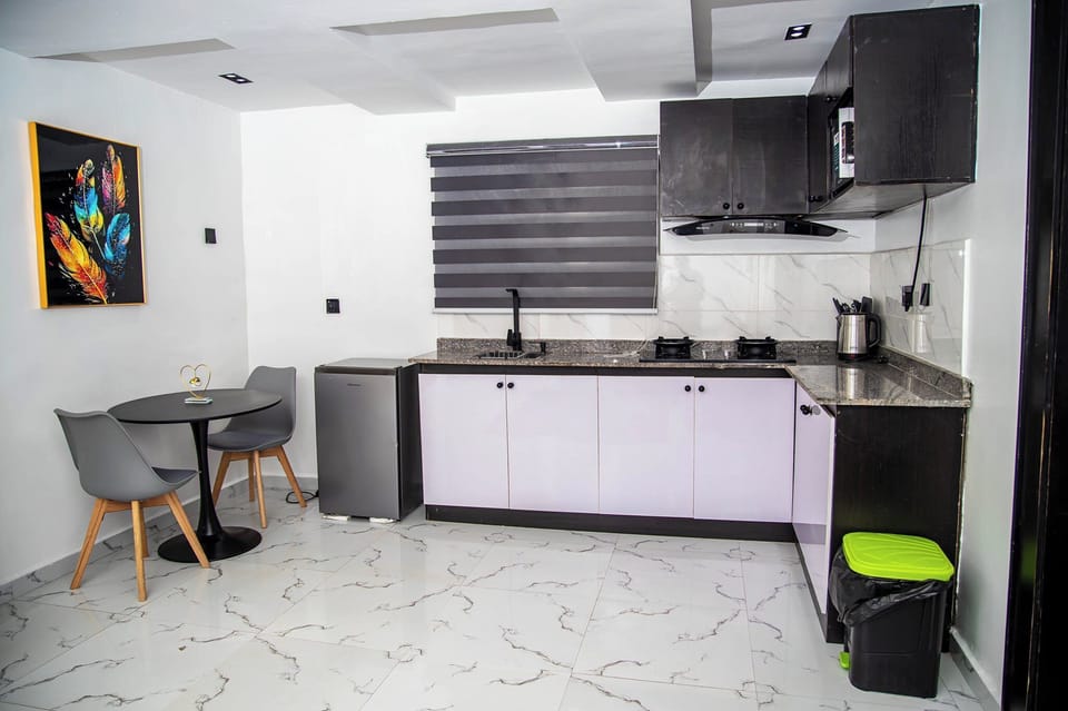 Economy Apartment, Balcony, City View | Private kitchen | Fridge, microwave, oven, stovetop