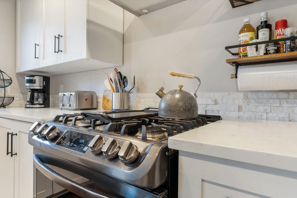 Gas stove and oven
