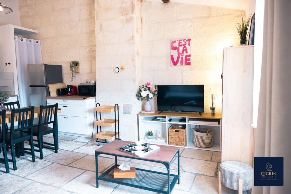 Suite appartement le temps retrouvé logement courte duree beaucaire l ecrin des quais 25