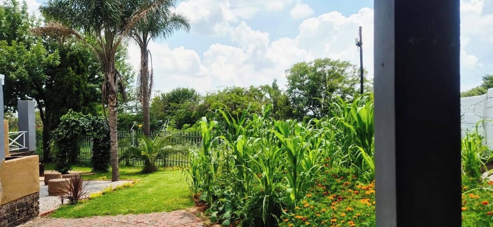 Apartment, 3 Bedrooms, Patio | Garden