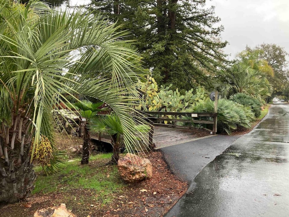 Driveway Approach