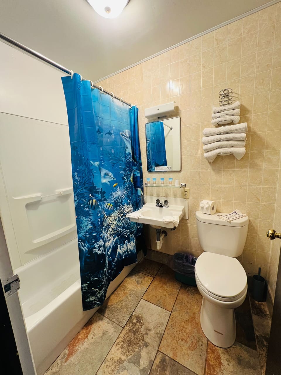 Combined shower/tub, towels, soap, shampoo