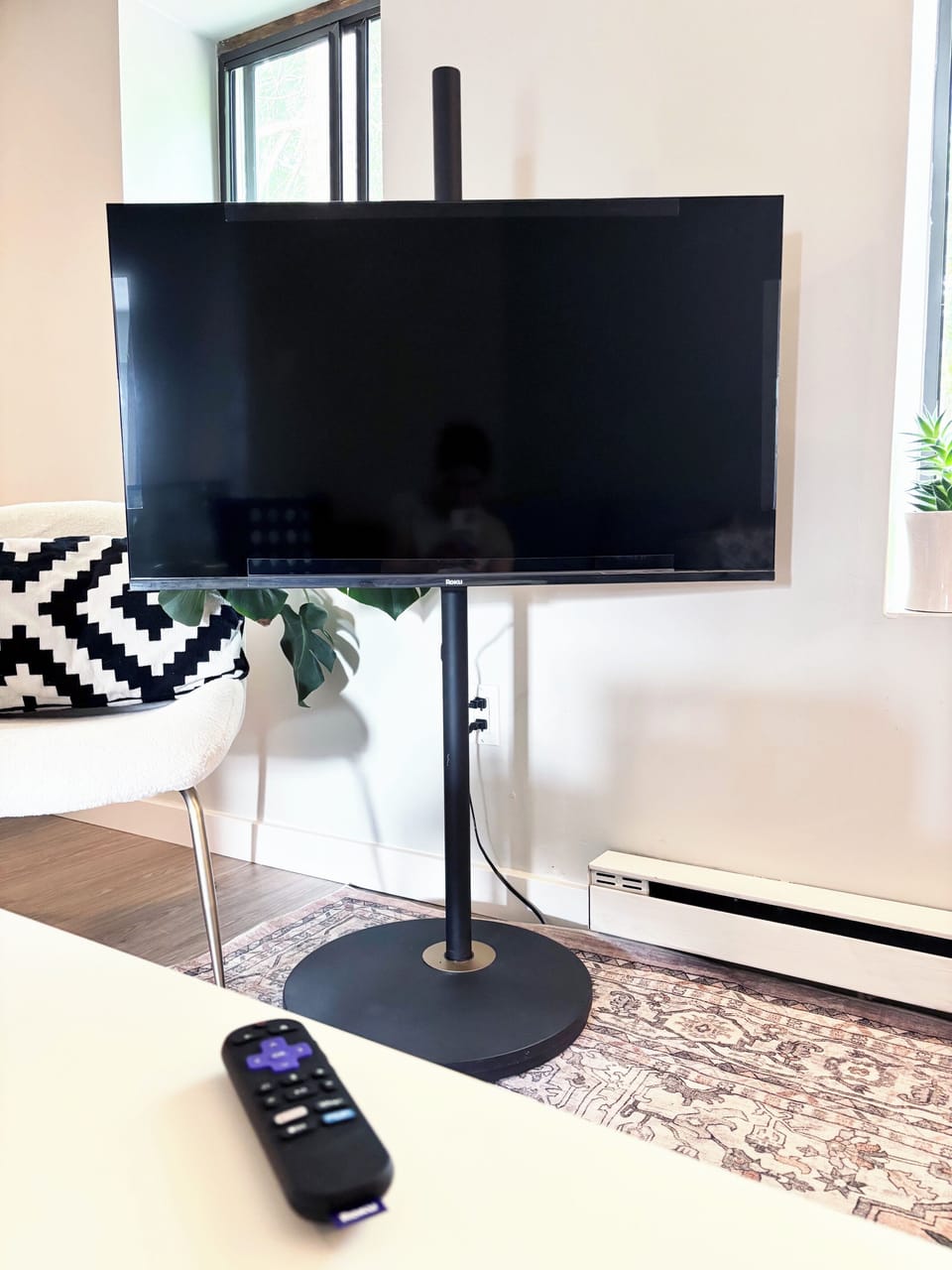 Television