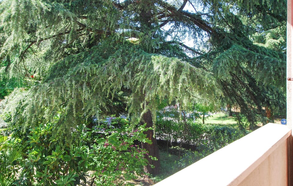 view-from-room