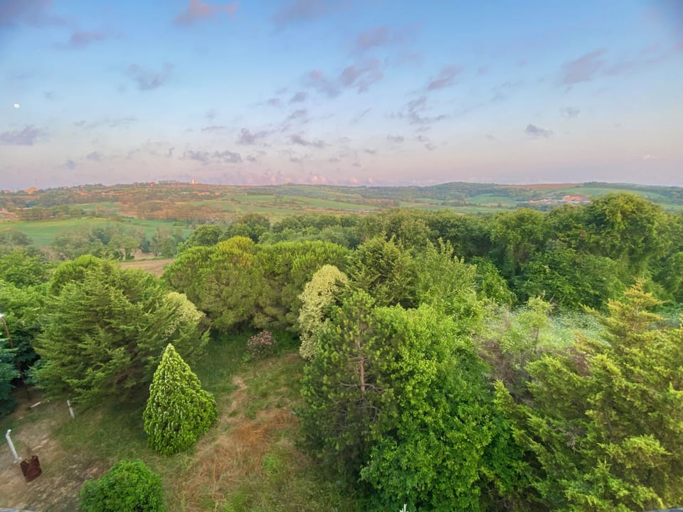 View from property