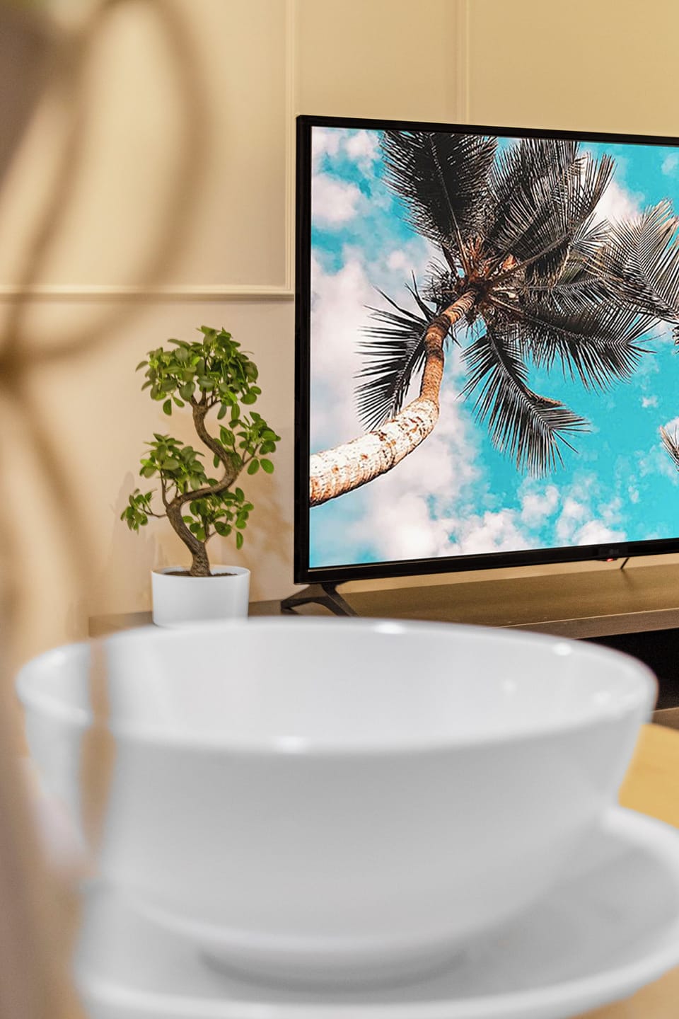 Television