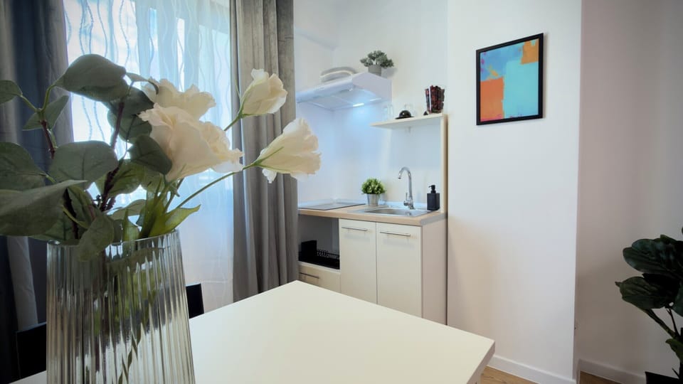 Comfort Studio, 1 Double Bed, Non Smoking | Private kitchen