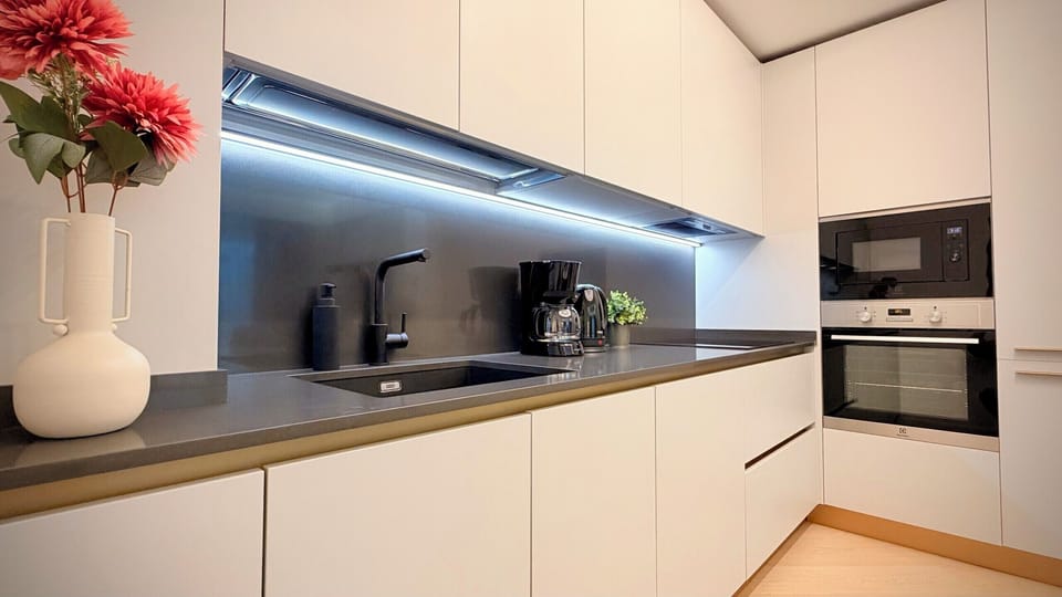 Luxury Apartment, 2 Bedrooms, Non Smoking, City View | Private kitchen | Full-size fridge, oven, stovetop, cookware/dishes/utensils