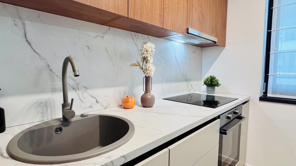 Deluxe Apartment, Non Smoking | Private kitchen | Fridge, oven, stovetop, cookware/dishes/utensils