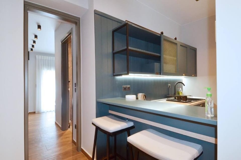 Apartment, City View | Private kitchen | Toaster
