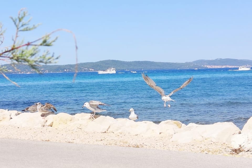 Water view