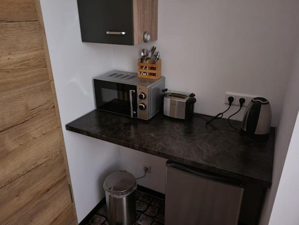 Standard Studio | Private kitchen | Full-size fridge, microwave, cookware/dishes/utensils