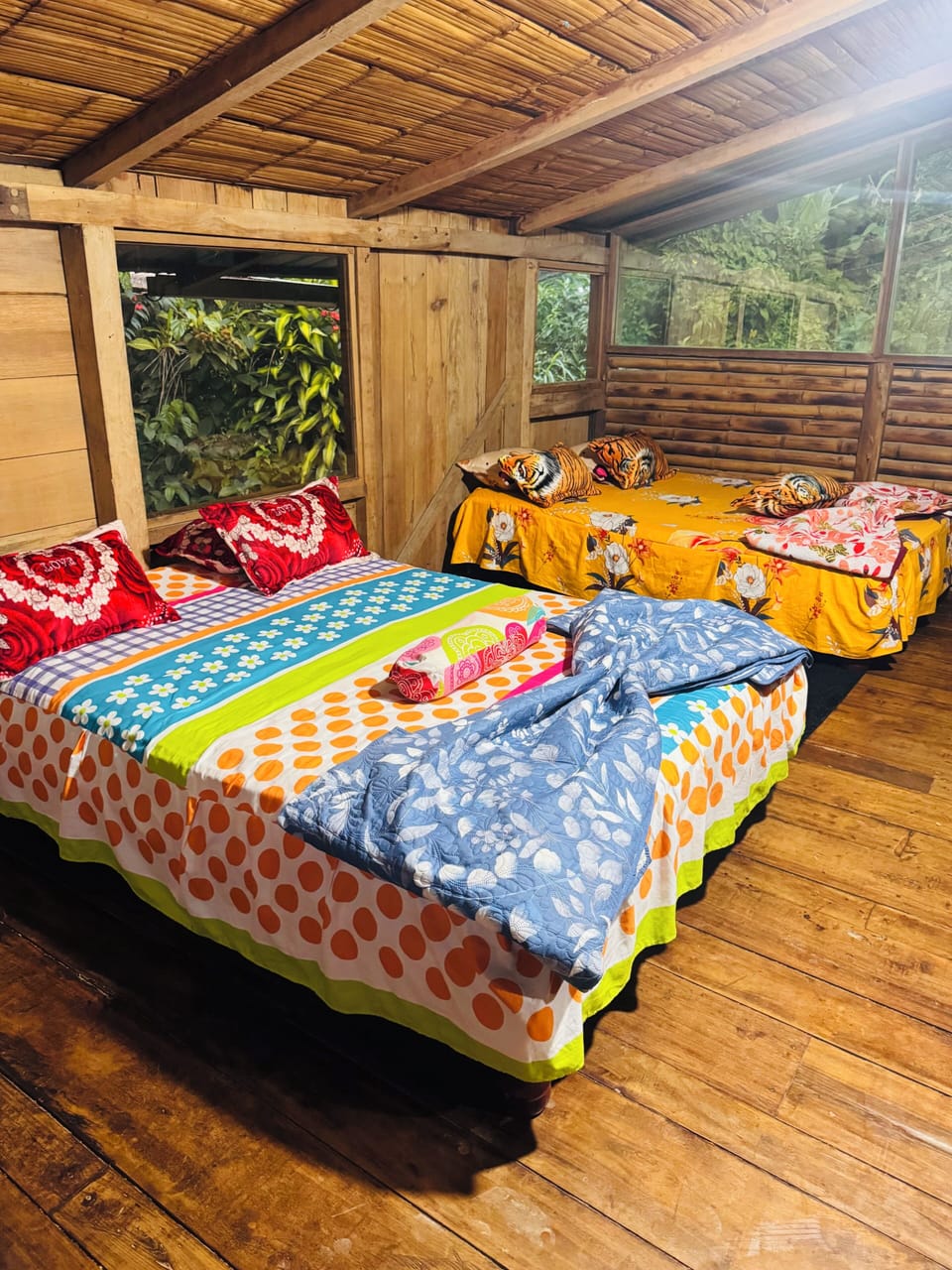 Basic Cabin | WiFi (free)