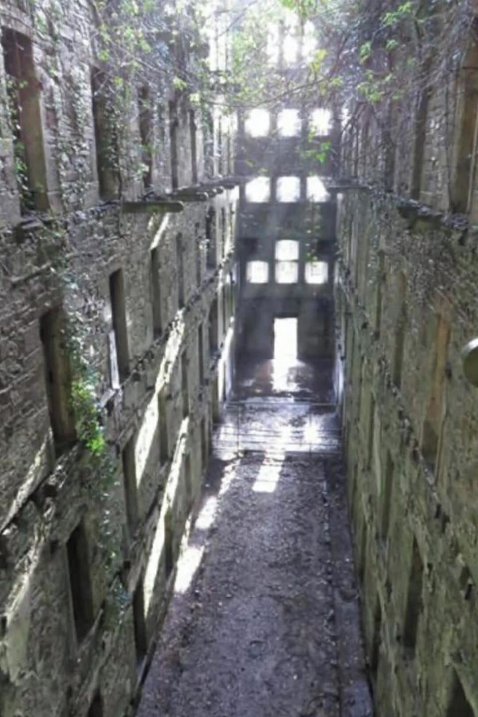 Image 8