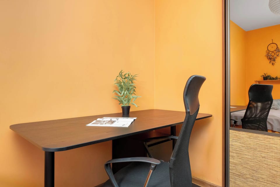 Minimalist workspace with a desk, chair, and decorative plant.
