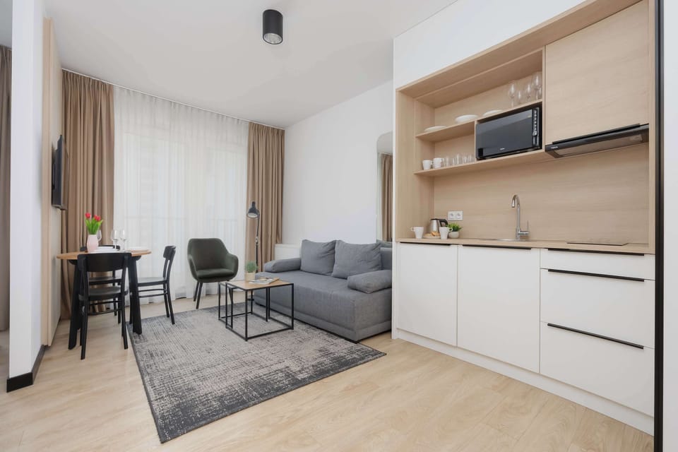 A compact studio layout featuring a gray couch, a kitchenette, and a patterned rug in the center of the room. Clean white walls and wooden finishes add a Scandinavian touch.