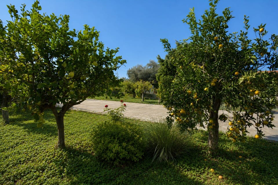 Autumn, Garden, Spring, Summer