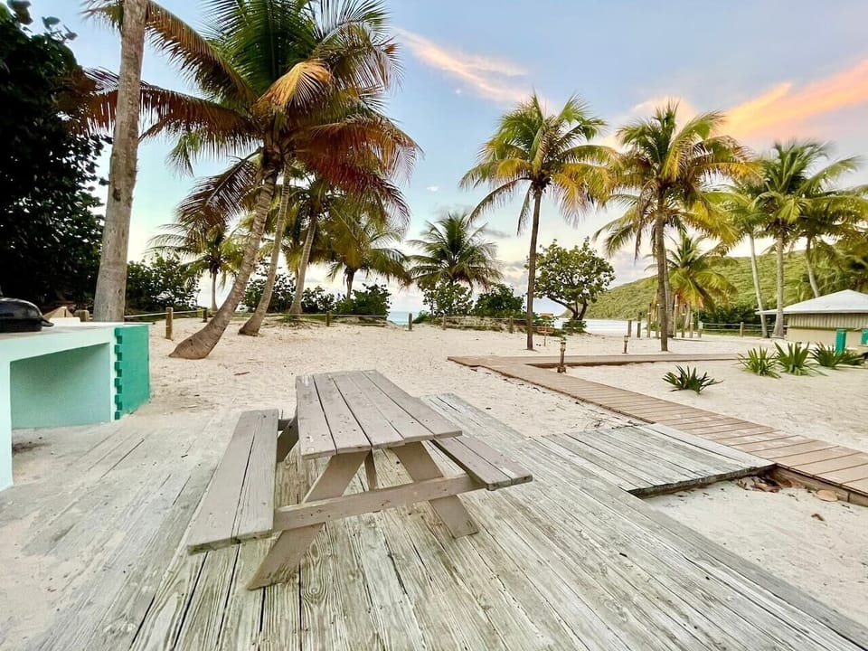 Outdoor picnic tables surrounded by palm trees.