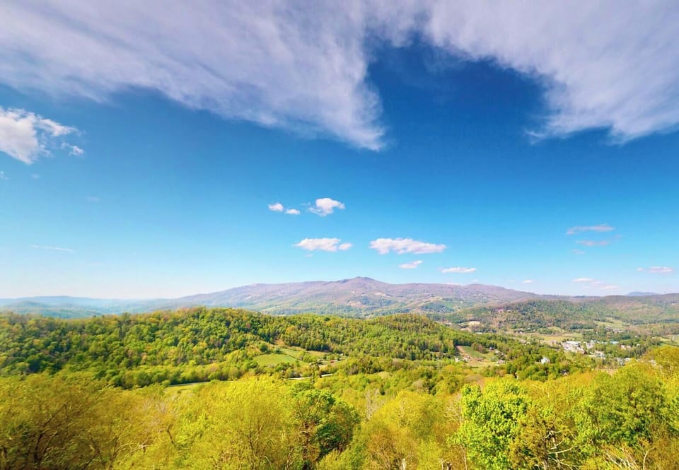 This property offers stunning views of the surrounding Blue Ridge Mountains and lush forests, showcasing the natural beauty and scenic landscape of the area.