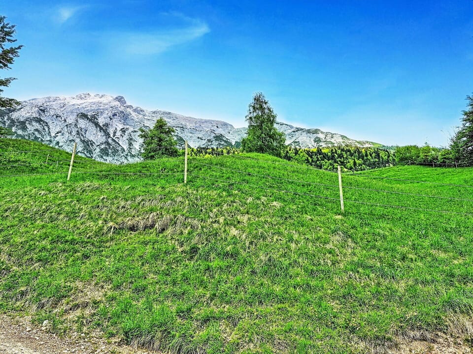 Green, Mountainous Landforms, Grassland, Hill, Highland, Hill Station, Pasture, Groundcover, Meadow