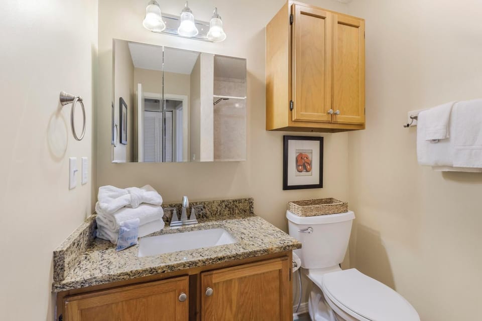 Guest bathroom
