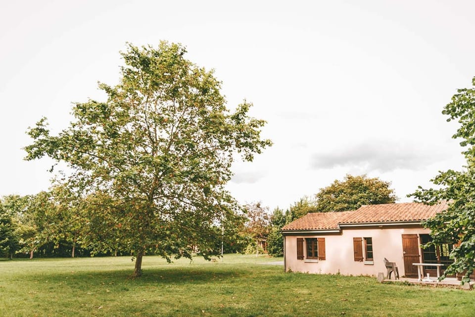 Chalet | Property grounds