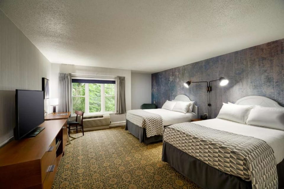 Spacious Estate Double Guestroom