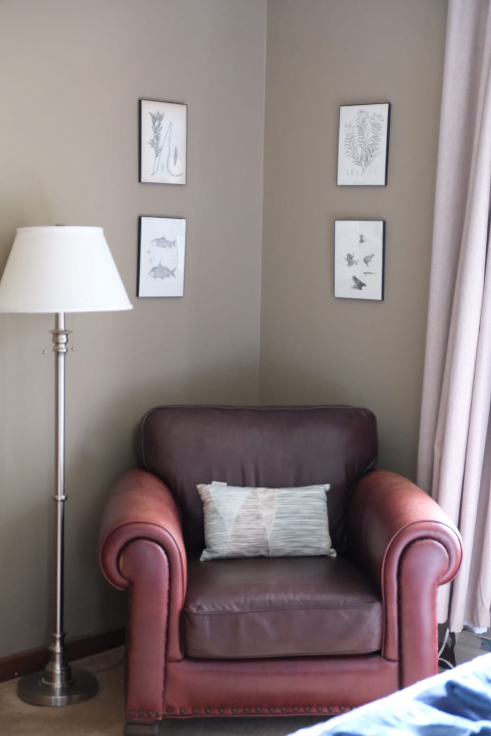 Cozy corner armchair perfect for reading or relaxing.