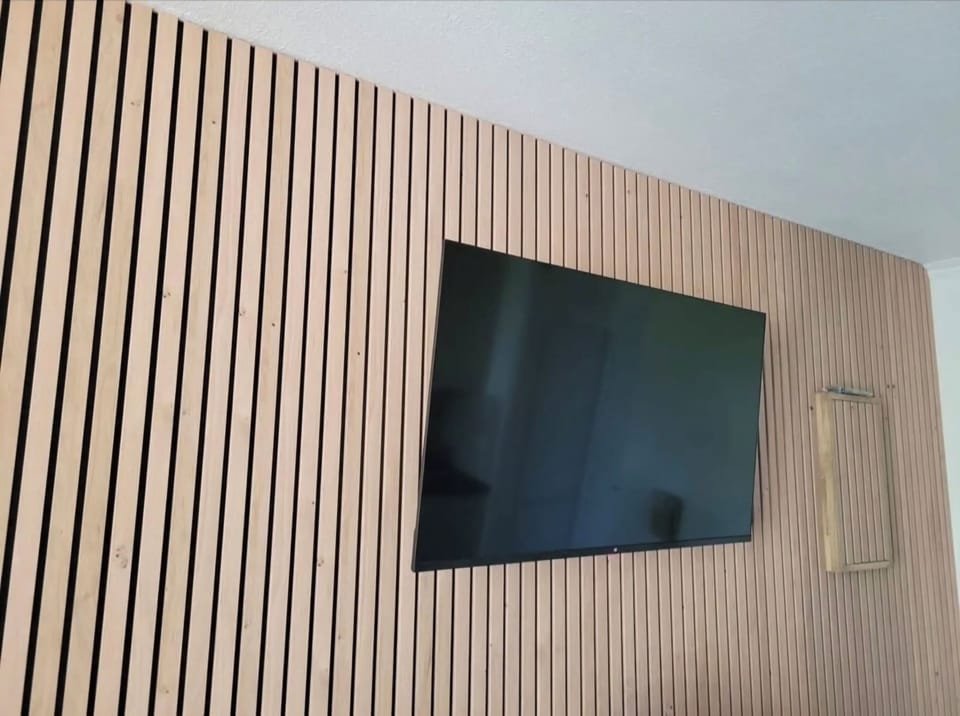 Television
