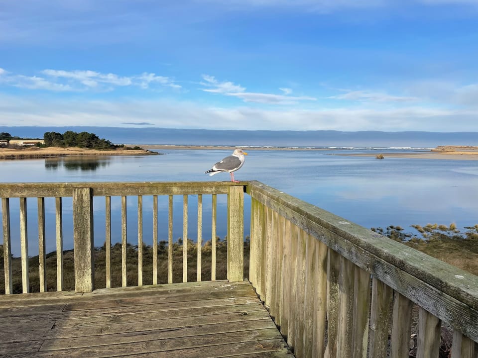 View from property