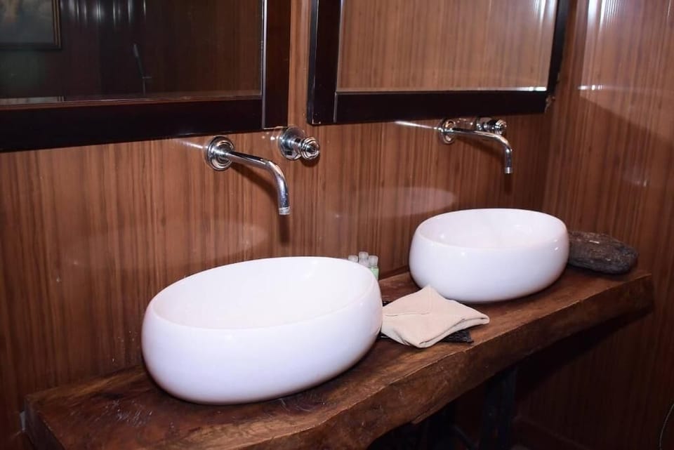 Deluxe Double Room | Bathroom | Shower, free toiletries, hair dryer, slippers