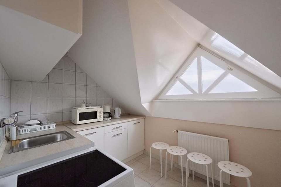 Family Apartment, Balcony | Private kitchen