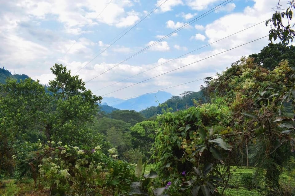 Standard Villa, Balcony, Garden View | Miscellaneous