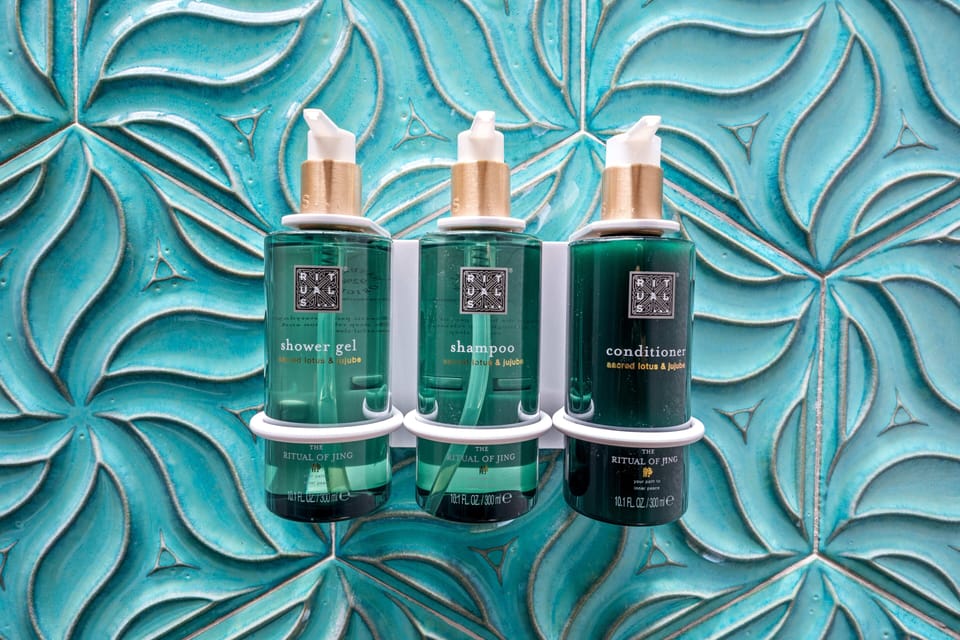 Deluxe Room | Bathroom amenities | Shower, hair dryer, towels, soap