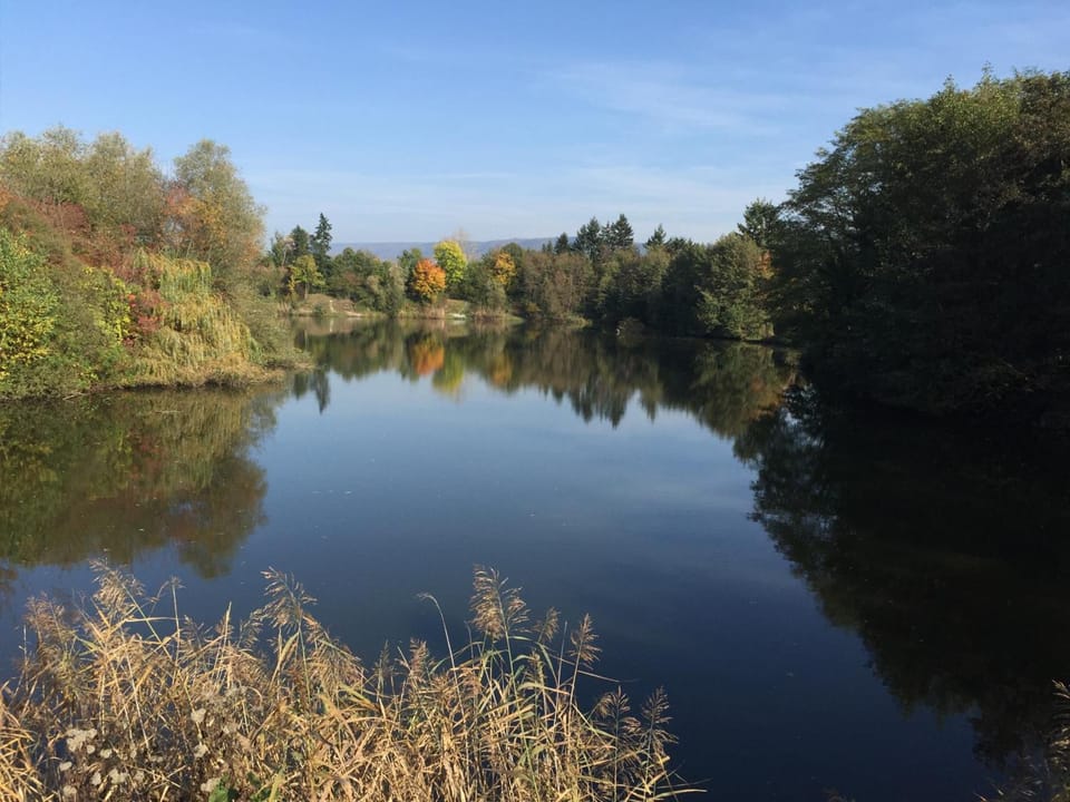 Lake