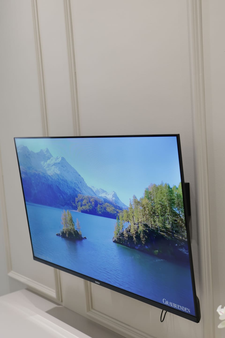 Television