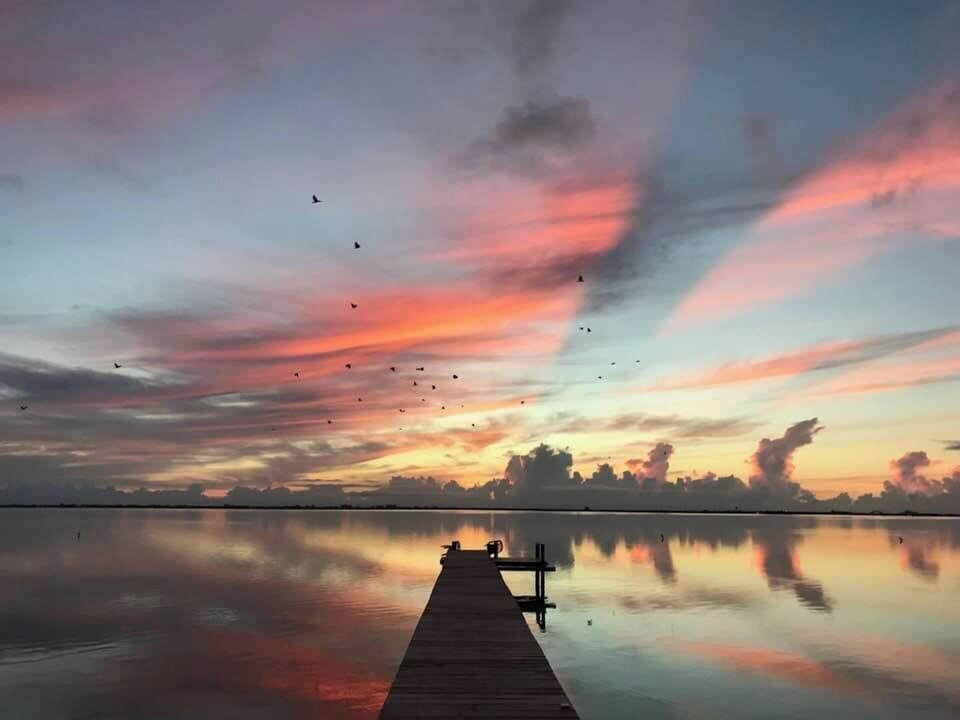 Dock