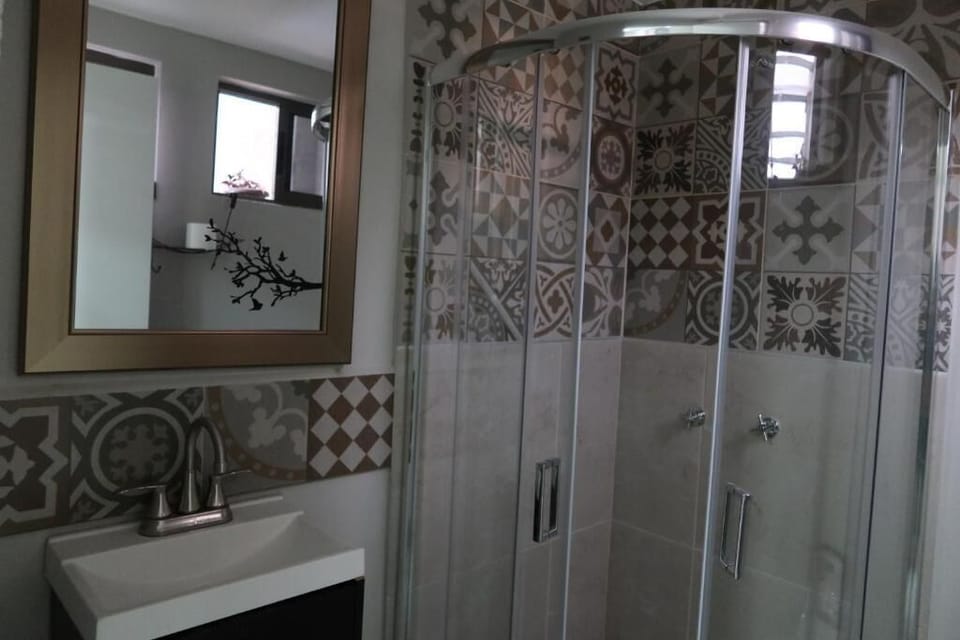 Shower, free toiletries, hair dryer (on request), towels
