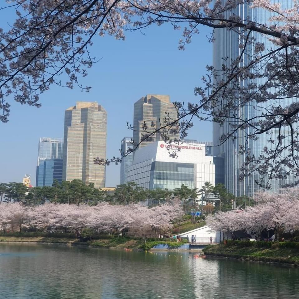 Apartment, City View (non-Korean nationals only) | Miscellaneous
